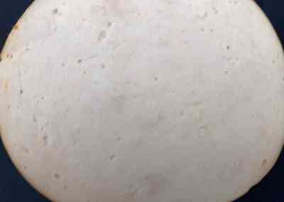 Kip gebraden/ gegrild per 100 gram