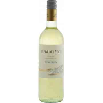Terre del Noce Pinot Grigio