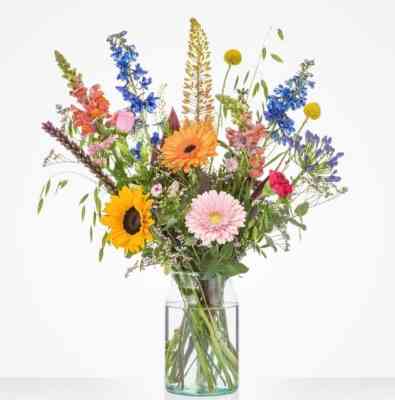 Veldboeket Bont gekleurd