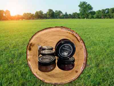 Wilde veenbessen - dip