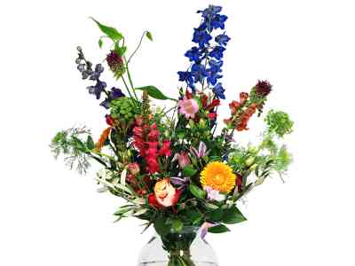 Kleurrijk plukboeket bloemen