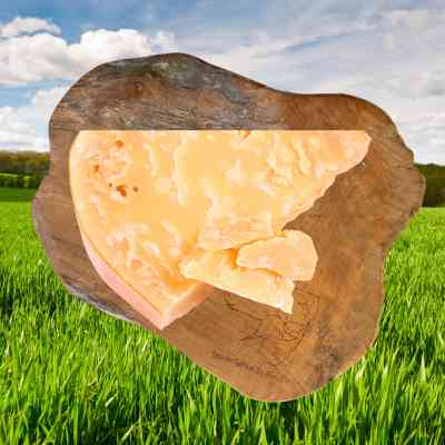 Overjarige kaas Driehoek