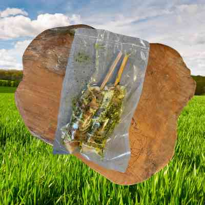 Kip van 't Gildehoen Kip-op-stok pesto