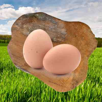 Eieren, scharrelei maat L