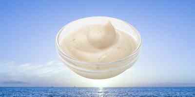 Knoflooksaus | bakje