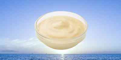 Ravigottesaus | bakje