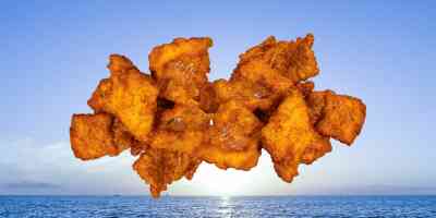 Kibbeling | grote bak 500gr.