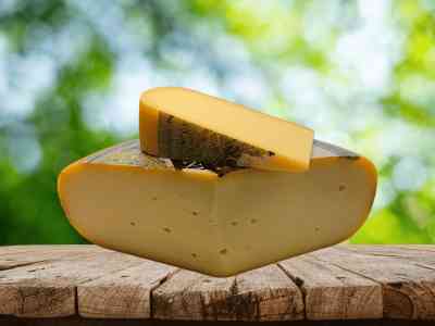 Veenmeester jong | 48+