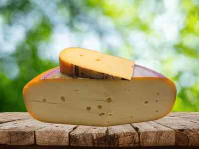 Veenmeester jong belegen | 48+