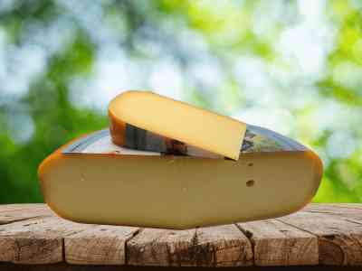 Veenmeester belegen | 48+