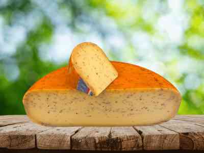 Komijn belegen | 48+