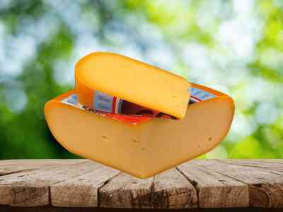 Jong belegen light | 30+