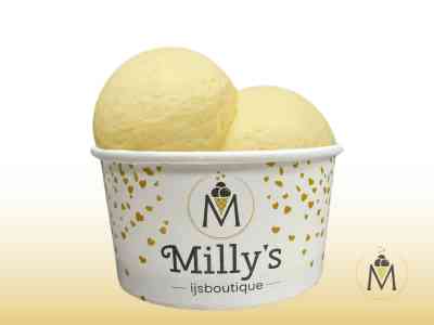 2 bolletjes ijs | bakje