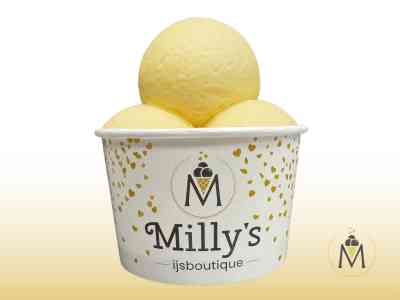 3 bolletjes ijs | bakje