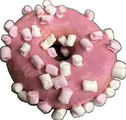 Donut