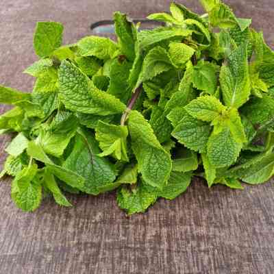 Verse Munt | 80 gram