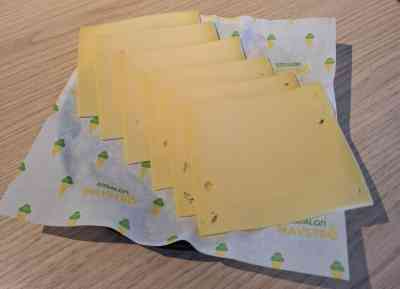 Belegen kaas | 6 plakken