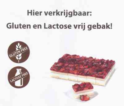 Lactose en glutenvrij gebak