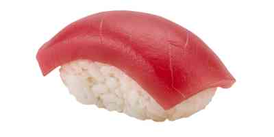 Maguro | nigiri