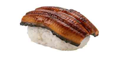 Unagi | nigiri