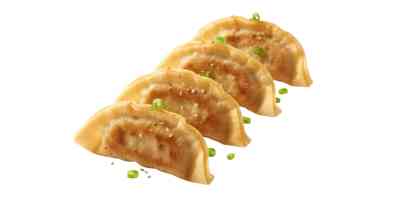 Gyoza kip | snack